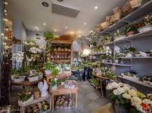 Fleuriste Le Jardin de Raphaël